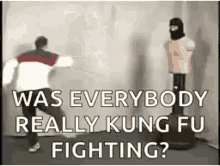 Kick Kung Fu GIF - Kick Kung Fu Fighting GIFs