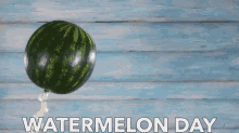 water melon day happy watermelon day national watermelon day flying