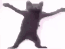 Dougie Cat Dance GIF - Dougie Cat Dougie Cat GIFs