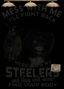Dont Mess With My Steelers GIF - Dont Mess With My Steelers GIFs