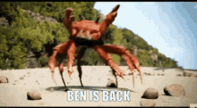 Ben Is Back Ben Wolf GIF - Ben Is Back Ben Wolf Ben Crab Rave GIFs