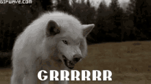 Wolf Snarling - Grrr GIF - Grrr Wolf Snarl GIFs