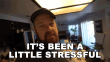 Its Been A Little Stressful Ohitsteddy GIF - Its Been A Little Stressful Ohitsteddy Its Stressing Me Out GIFs