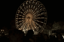 Ferris Wheel Rollercoaster GIF - Ferris Wheel Rollercoaster Ride GIFs