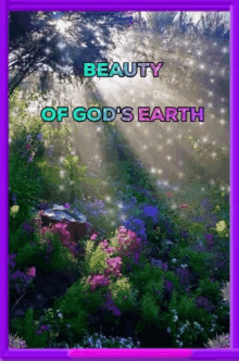 God Beauty GIF - God Beauty Nature GIFs