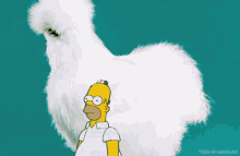 Homer Fluffy GIF - Homer Fluffy Silkie GIFs