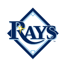 Lets Go Rays I Voted Early Sticker - Lets Go Rays I Voted Early I Voted Stickers