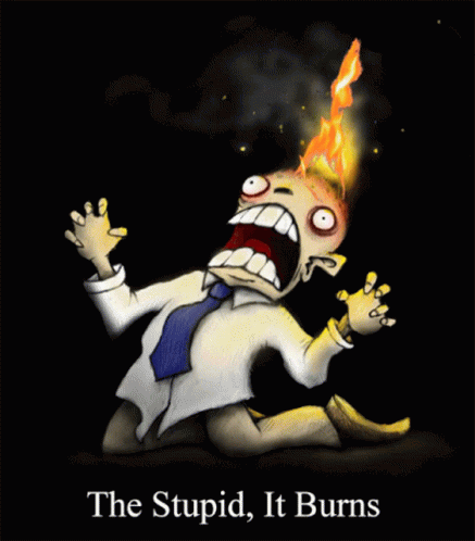 The Stupid It Burns GIF - The Stupid It Burns Head On Fire - Discover &amp;  Share GIFs
