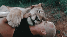 Cuddle Dean Schneider GIF - Cuddle Dean Schneider Kiss GIFs