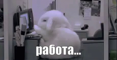 work-working.gif
