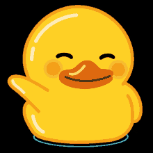 shaeduh duck