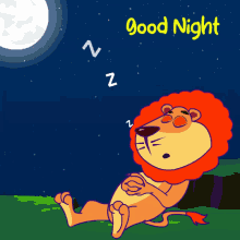 sleep sleep music lion cartoon cartoon cat