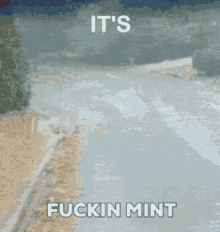 mint fuckin mint fucking mint its mint
