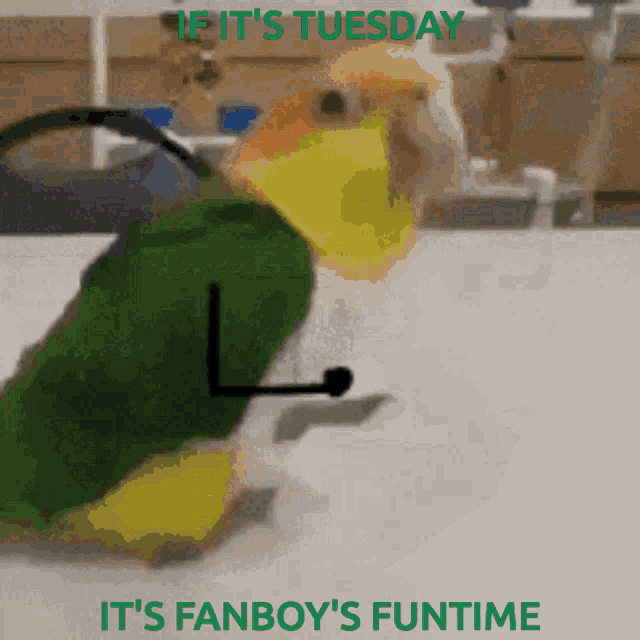 tuesday-parrot.gif