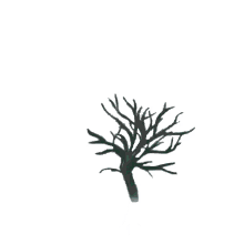 el arbol