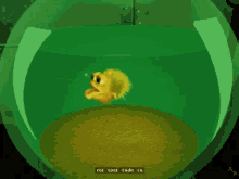 Fish Dont Pee On The Floor GIF - Fish Dont Pee On The Floor GIFs