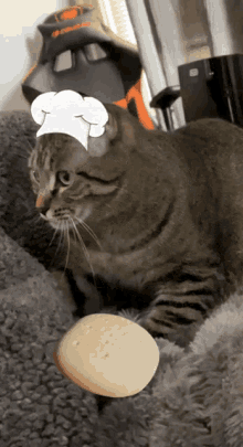 Kneading Cat GIF - Kneading Cat Dough GIFs