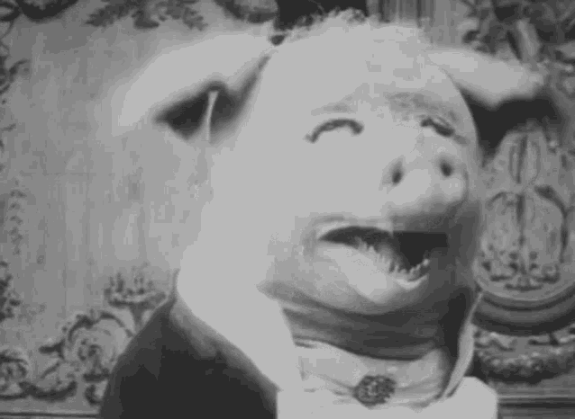 pig-black-and-white.gif