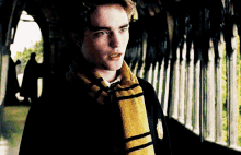 Cedric Diggory Hufflepuff GIF - Cedric Diggory Cedric Diggory GIFs