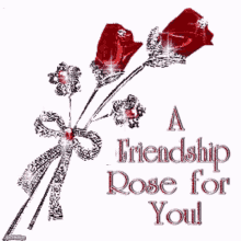 rose flower friendship rose for you for you