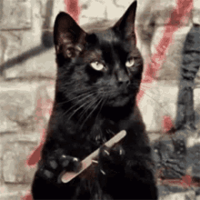 Interesante Salem GIF - Interesante Salem Cat GIFs