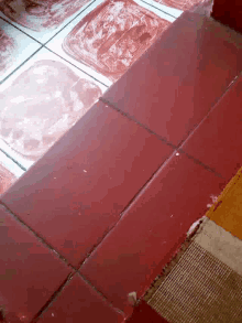 red floor floor tiles