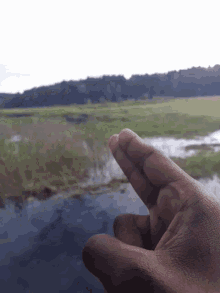 Finger Bird Hunting GIF - Finger Gun Bird Hunting GIFs