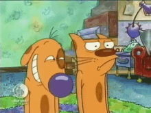 Catdog Nickelodeon GIF - Catdog Nickelodeon Hehe GIFs