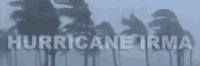 Hurricane Irma GIF - GIFs