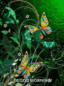 Good Morning Butterflies GIF - Good Morning Butterflies Sparkle GIFs