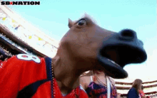 Broncos Horseface GIF - Broncos Horseface Denver GIFs