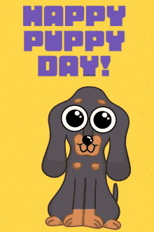 Happy Puppy Day National Puppy Day GIF - Happy Puppy Day National Puppy Day Its Puppy Day GIFs