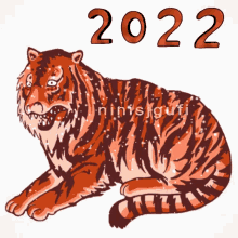 2022 Tiger GIF - 2022 Tiger тигр GIFs