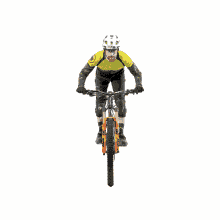 bike bike school pekoll bikepark schladming bikepark wexltrails bsp bike bike school pekoll bikepark schladming bikepark wexltrails bsp