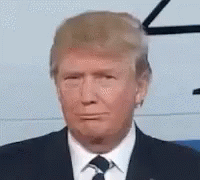 [Image: tenor.gif]