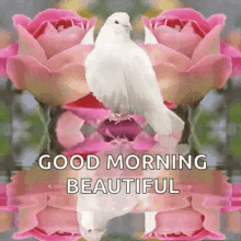 good morning beautiful sparkles flowers dove