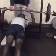 What Are Those Gym GIF - What Are Those Gym Weight Lifting GIFs