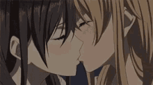 citrus mei11