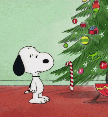 Merry Christmas Funny GIF - Merry Christmas Funny Happy - Discover &amp; Share  GIFs