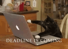 work stressed hurry deadline deadline is coming