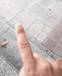 finger recorded focus finger wag finger recorded focus finger wag
