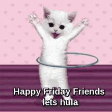 Cute Cat GIF - Cute Cat Happy Friday GIFs