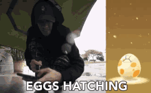 eggs outside