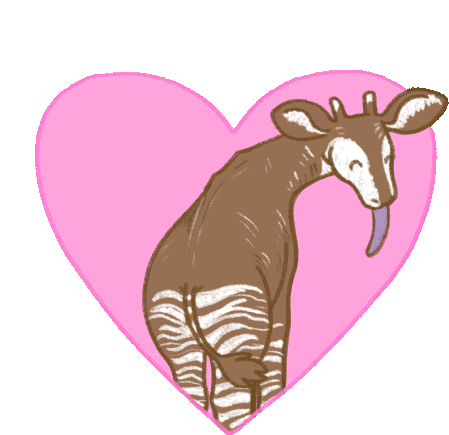 Natelle Okapi Sticker Natelle Okapi Valentines Discover Share Gifs