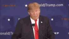 Trump I Know Words GIF - Trump I Know Words I Have The Best Words GIFs