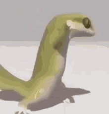 Lizard Dance GIF - Lizard Dance Dance Move GIFs
