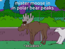 Mister Moose Polar Bear GIF - Mister Moose Mister Moose GIFs