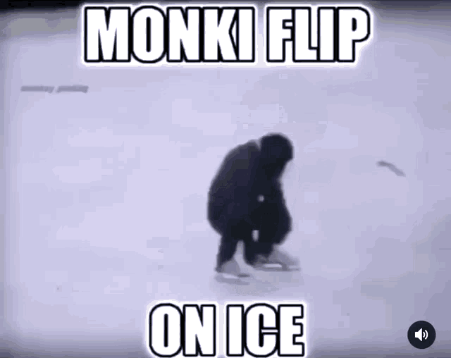 monki,monkey,Monki Flip,Monki Flip On Ice,Monkey Flip,Monkey Flip On ...