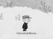 I Know Nobody Likes Me GIF - I Know Nobody Likes Me Charlie Brown GIFs