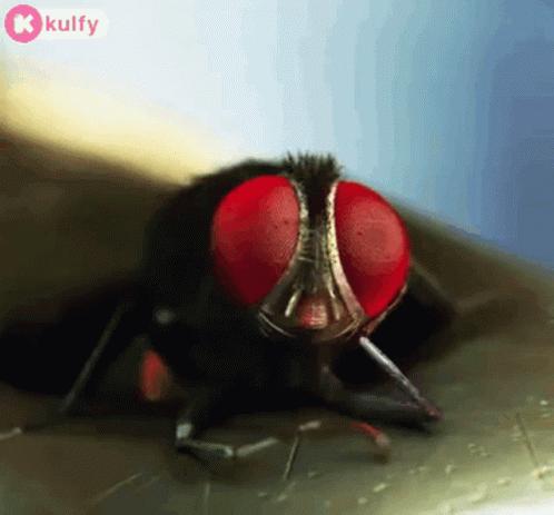 Waiting Funny GIF - Waiting Funny Gifs GIFs